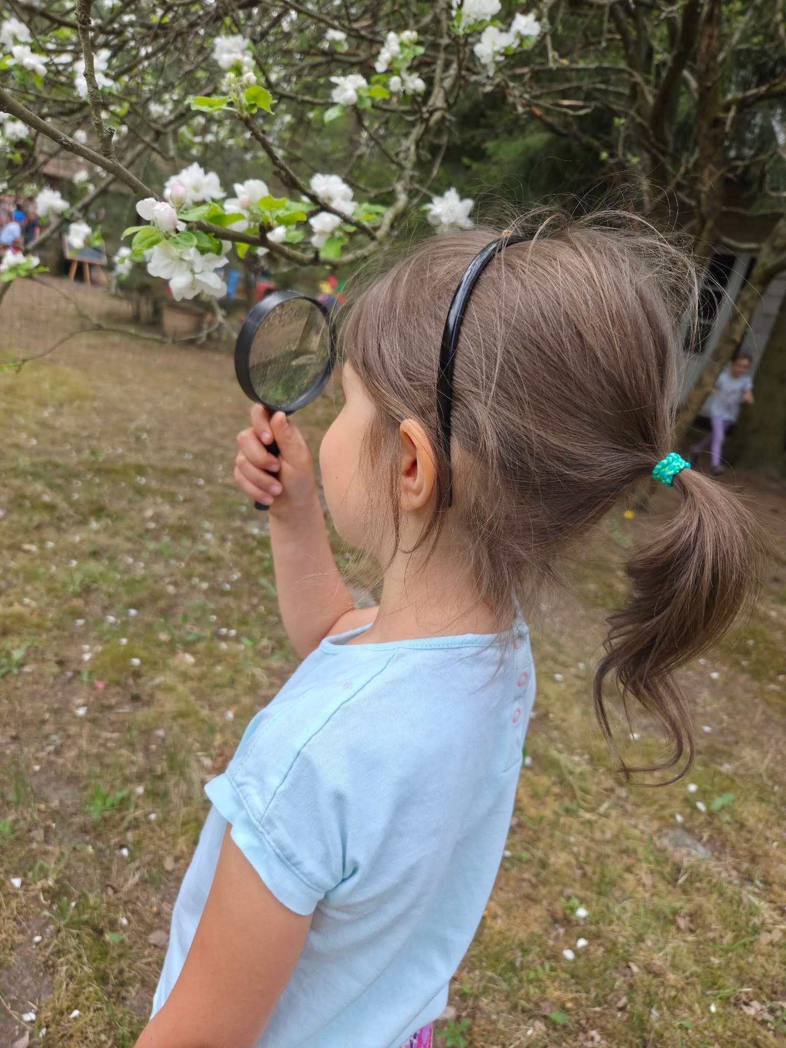 image_76F20B47-607B-4F2B-82FE-75335694E57A_1778938102.jpeg (603 KB)